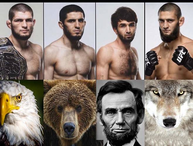 ▲ 다게스탄과 체첸 출신 파이터들을 동물 또는 링컨과 비교한 사진. 4명 모두 알리 압델아지즈의 고객들이다.