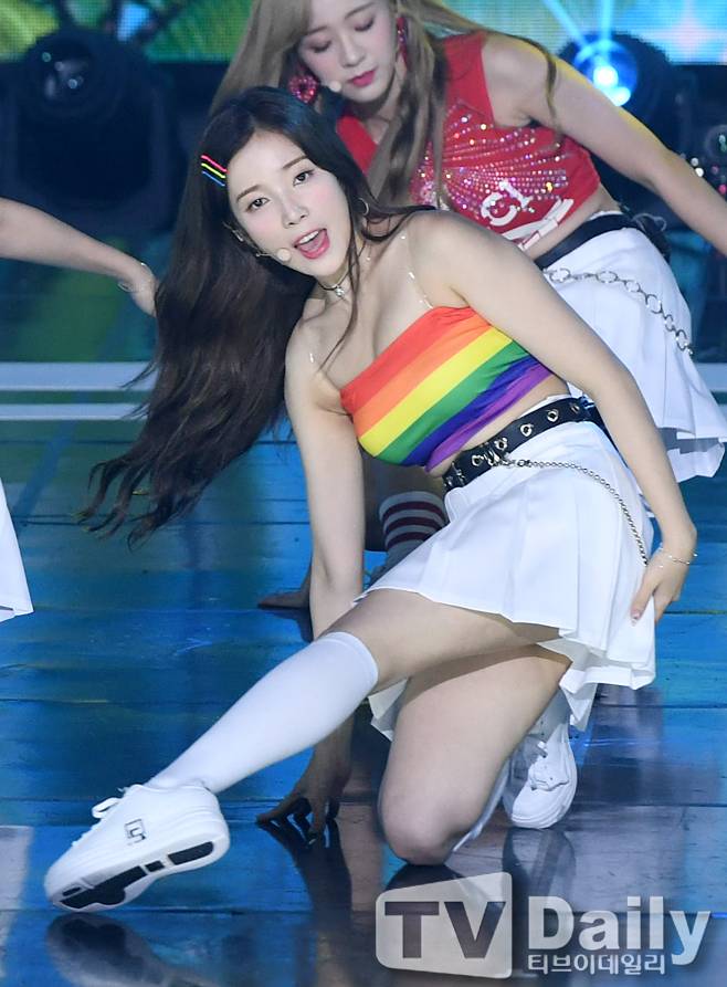 티브이데일리 포토