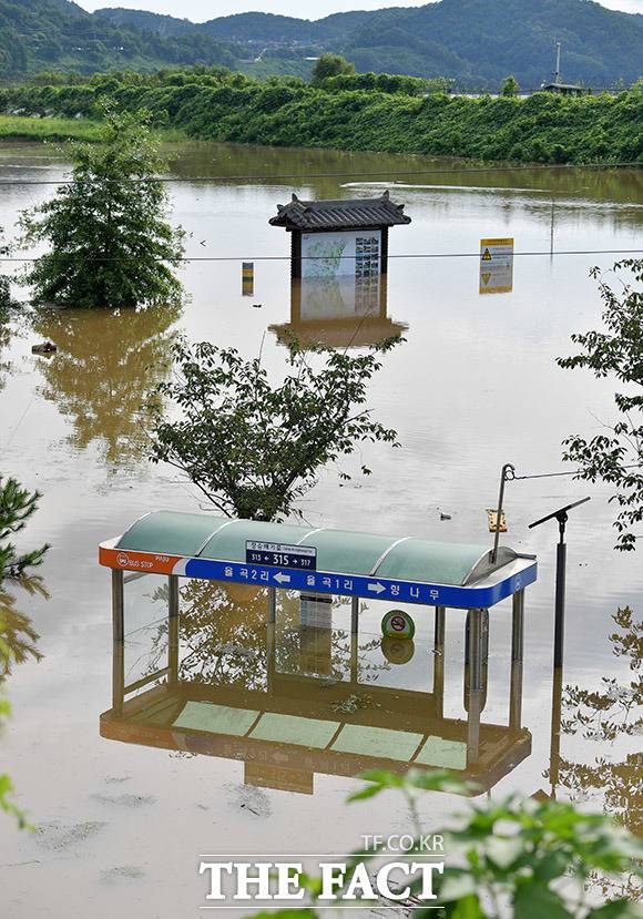 6일 오후 경기 파주시 율곡습지공원 일대가 침수돼 있다. /파주=이덕인 기자