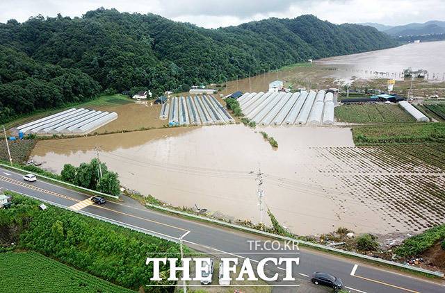 6일 오후 경기 연천군 군남면 일대 비닐하우스와 논밭이 침수돼 있다. /연천=이덕인 기자