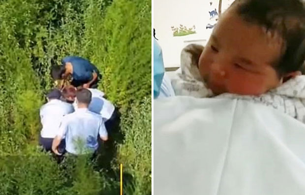 갓 낳은 아기를 내다 버린 중국 여성이 체포됐다. 5일 중국 지린성 더후이시공안국은 태어난 지 하루밖에 되지 않은 영아를 유기한 혐의로 아기의 어머니를 붙잡아 조사 중이라고 밝혔다.