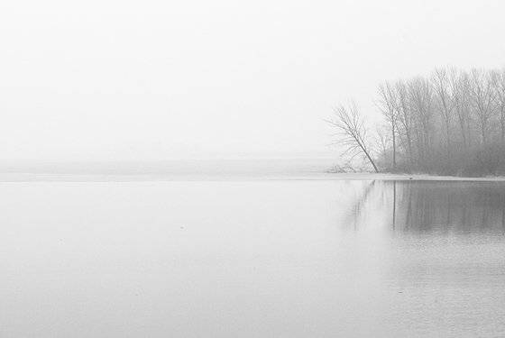 사진2 겨울나무, 2012/ 120mm, f 13, s 1/320, ISO 400. [사진 주기중]