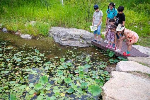 에버랜드 포레스트 캠프 피크닉