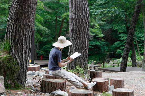 검마산자연휴량림의 금강소나무 아래서 여유롭게 독서삼매경에 빠져 있는 탐방객. 사진제공|한국관광공사