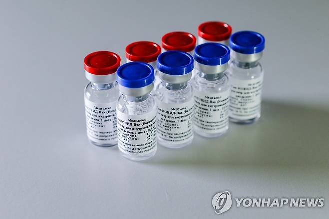 러시아 국립연구기관이 개발한 코로나19 백신 샘플 (모스크바 AFP=연합뉴스) 러시아 보건부 산하 가말레야 국립 전염병·미생물학 센터(가말레야 센터)가 개발한 신종 코로나바이러스 감염증(코로나19) 백신의 샘플. 가말레야 센터는 러시아 국부펀드인 '직접투자펀드'(RDIF)의 투자를 받아 국방부 산하 제48 중앙과학연구소와 공동으로 코로나19 백신을 개발해 왔다. [RDIF 제공] jsmoon@yna.co.kr