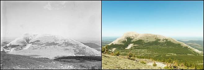 사진 왼쪽은 1931년 당시의 캐나다 로키산맥, 오른쪽은 같은 장소에서 2008년 촬영한 사진.