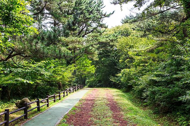 황폐해진 이곳에 다시 풀과 나무들이 울창해지고 새 소리가 들리기까지 오랜 시간이 걸렸다
