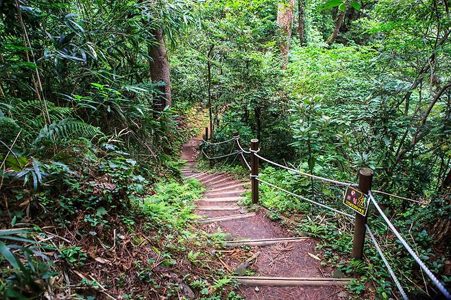 제주시의 숨은 숲길인 오라 올레