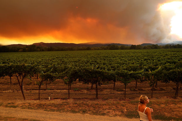 캘리포니아주 대형 산불군(群) 가운데 가장 피해가 심각한 소노마 카운티 힐즈버그 지역의 모습. 20일(현지시간)./AFP