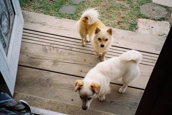 B씨가 필름 카메라로 직접 촬영한 사진. B씨 제공