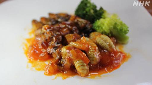 '매미 칠리'라는 요리. 붉은 고추와 토마토를 주원료로 만든 칠리소스에 매미 애벌레를 넣어 만드는 것으로 전해졌다. NHK