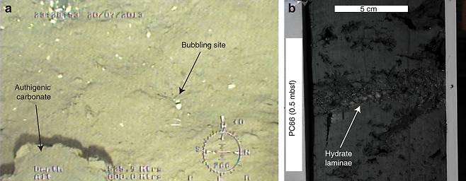 ROV 탐사에서 메탄가스의 누출이 기포 형태로 포착된 이미지.(사진=네이처 커뮤니케이션스)