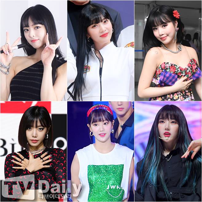 티브이데일리 포토
