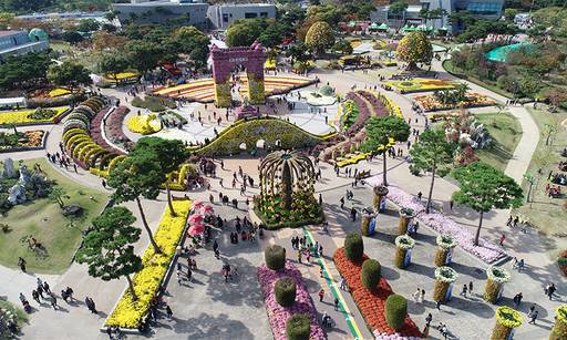 지난해 함평군 함평읍 엑스포공원에서 열린 함평나비대축제 모습. 함평군 제공