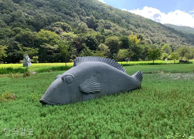 개화예술공원 연못에 남포오석으로 조각한 대형 붕어 작품이 놓여 있다.