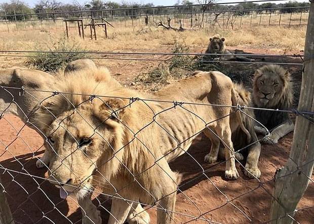 사진=프로 와일드라이프