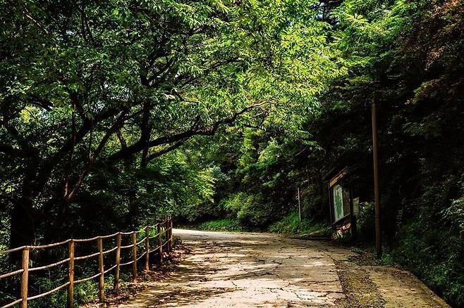 남한산성 도립공원 탐방로 [경기도 제공. 재판매 및 DB 금지]