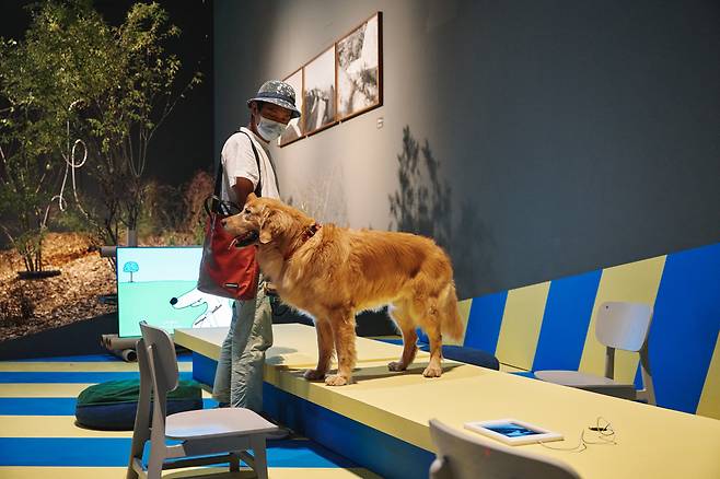 Installation view of “A Museum for All, a Museum for Dogs” at MMCA Seoul in Jongno-gu, central Seoul (MMCA)