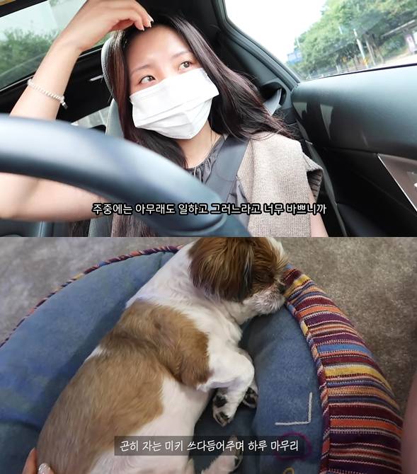 유튜브 '미지우' 영상 캡처