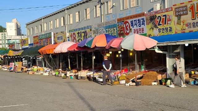 지난 25일 오전 전남 목포시 석현동에 위치한 목포농산물도매시장이 한산한 모습이다. 추석을 일주일을 앞두고 있지만 예년에 비해 활기찬 도매시장의 모습을 찾아보기 어려웠다./목포=김선덕기자