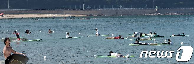 지난해 여름  강원도 강릉시 금진해변에서 많은 입문자 서퍼들이서핑을 배우는 데 여념이 없는 모습이다. © News1