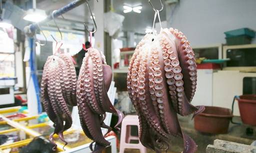 경북 포항 죽도시장 한 문어상점에 문어가 걸려 있다. 연합뉴스