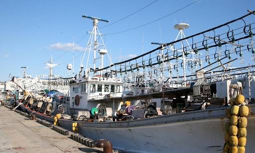 경북 포항시 남구 구룡포항에 오징어잡이 배가 정박해 있다. 연합뉴스