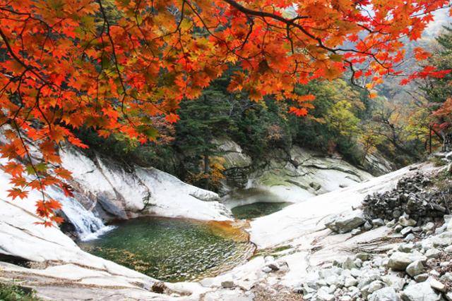 설악산 단풍. 한국일보 자료사진