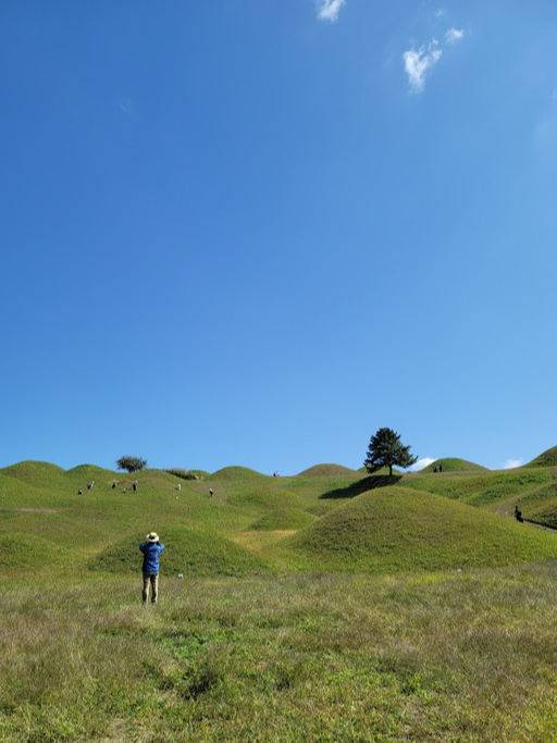 불로동 고분군 전경