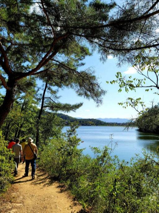 봉무공원 단산지 산책로