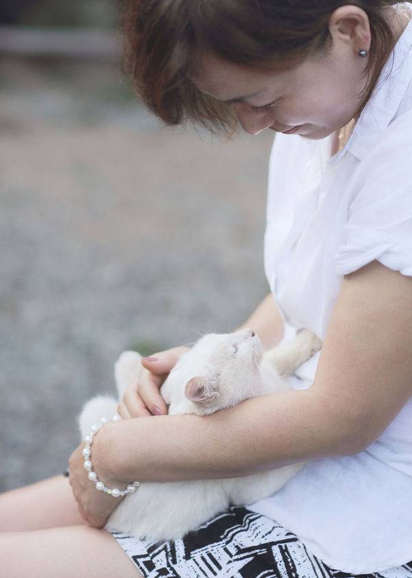 네, 그럼에도 불구하고.