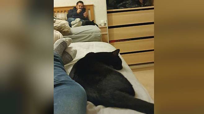 루비는 지난 21일 주인 조던 하비의 품으로 돌아갔다