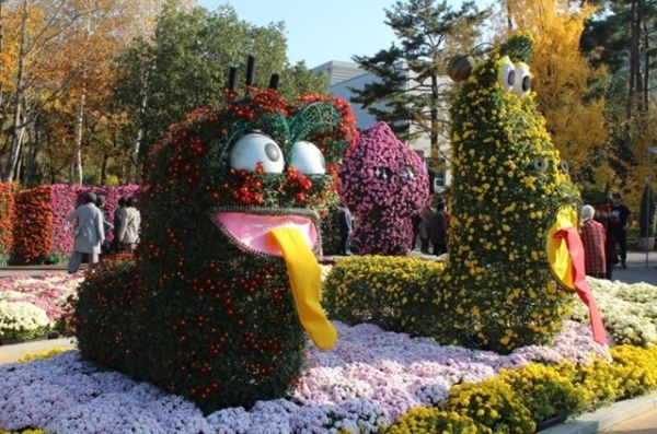 2019년 대구수목원 국화축제 현장 (사진=대구 달서구청 블로그)