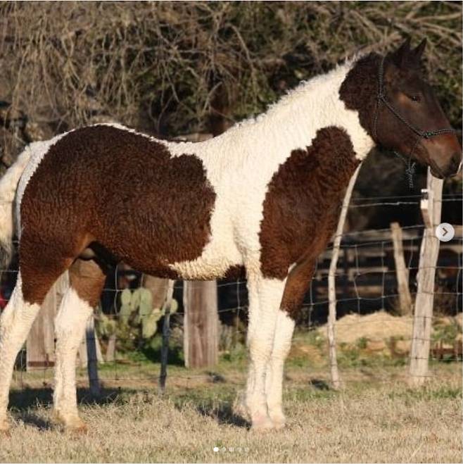 (사진=인스타그램)