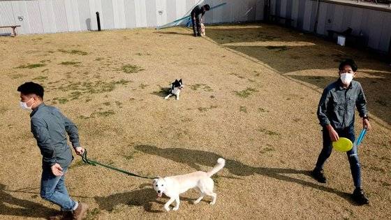 지난달 19일 보듬컴퍼니에서 훈련을 받고있는 개의 모습. 왕준열