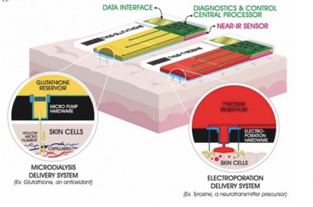 미 국방부가 개발 중인 TDNDS(Trandermal Nutrient Delivery System) 시스템 그래픽. / 출처=newatlas