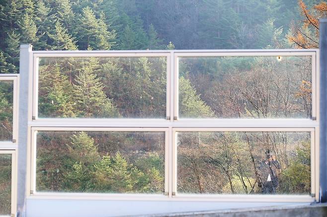 태백시 동점산업단지 진입로 투명방음벽 [촬영 배연호]