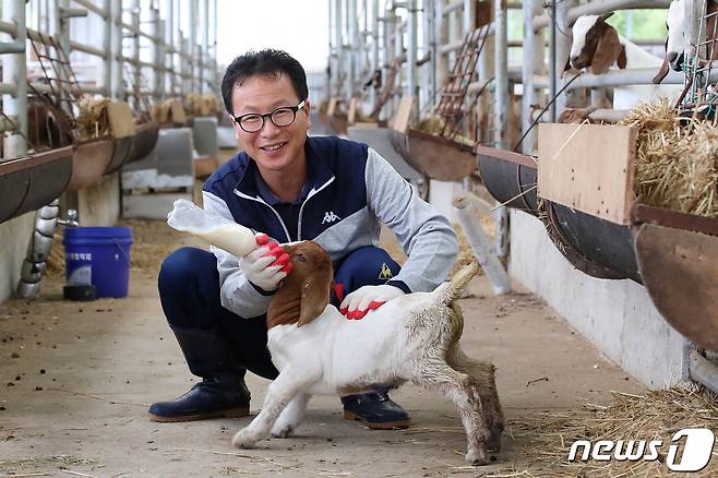 귀농 6년차 '염소아빠' 김영민(46)씨가 아기염소 '군수'에게 젖을 먹이고 있다.. 2020.10.23/뉴스1 © News1 공정식 기자