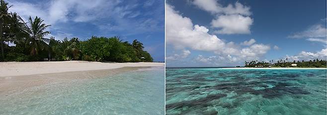 몰디브 하다하섬의 해변에서 본 야자수 숲(왼쪽). 오른쪽은 선상에서 본 하다하섬의 전경. /사진=송경은 기자