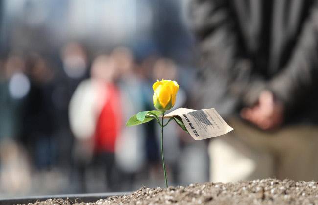세계 여성의 날인 지난해 3월8일 서울 광화문광장 화단에 여성 권리 증진을 의미하는 노란 장미가 꽃혀 있다. 강윤중 기자