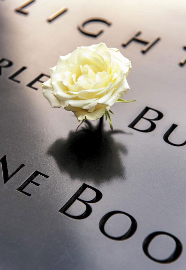 9·11 테러 희생자 추모 기념 공원에는 희생자 이름이 빼곡하게 음각된 검은 청동 패널이 있다. 아침마다 생일을 맞은 희생자 이름에는 장미 한 송이가 꽂힌다. 희생자들을 영원히 기억하겠다는 국가의 의지인 동시에 희생자들에 대한 예의를 상징한다.