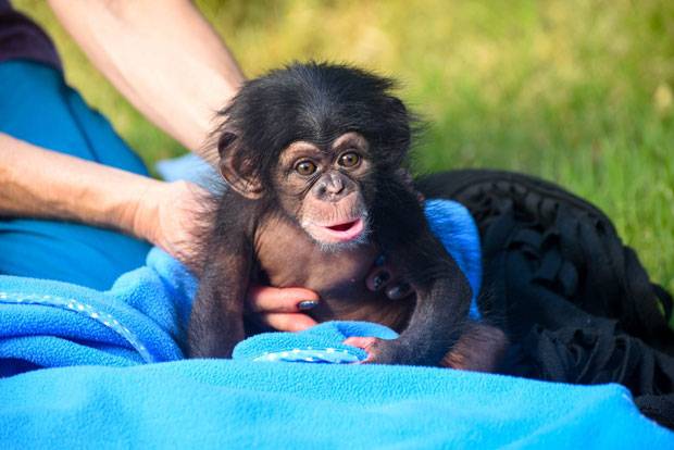 출처=메릴랜드동물원 페이스북