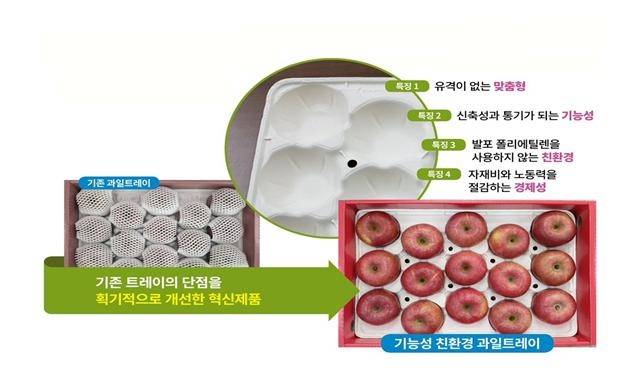 과일 트레이 비교 [경북도 제공. 재판매 및 DB 금지]