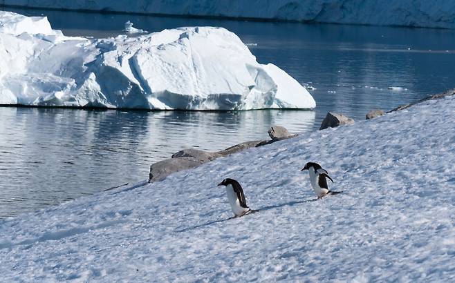 남극 빙하 상실의 원인이 지구온난화 때문만이 아니라 자연변동에 따른 강설량 감소 때문이라는 새로운 학설이 제시됐다. 게티이미지뱅크 제공