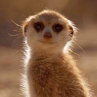 친구 없는 거 아니라구요(울먹)