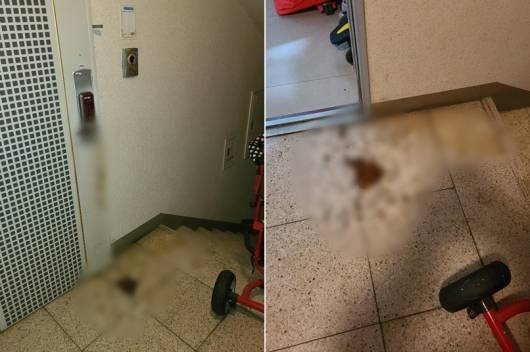 지난 28일 이 온라인 커뮤니티에 '아파트 현관문 앞에 똥테러 당했습니다'라는 제목의 글이 올라와 화제가 됐다/사진=온라인 커뮤니티