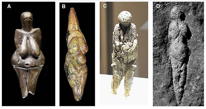A.  체코 돌니 베스토니츠의 비너스(2만6천년 전) B. 이탈리아 샤비냐노의 비너스(2만4천~2만3천년 전) C. 러시아 자라이스크의 비너스(1만9천년 전) D. 프랑스 아브리 파투의 비너스(2만1천년 전). 빙하 진출기 비너스 조각상의 비만 비율이 빙하 퇴조기 비너스 조각상의 비만 비율보다 큰 것으로 조사됐다. 미국 콜로라도대 제공(위키키미디어커머스)