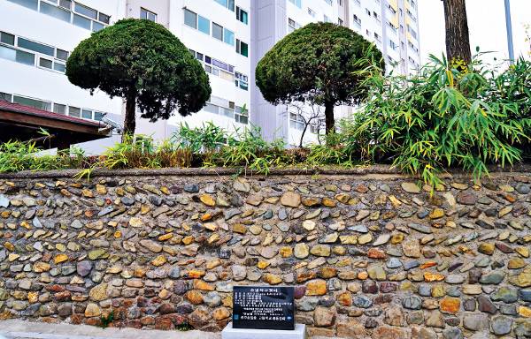 유진 벨과 조선 청년들을 교육했던 최흥종. 광주 숭일학교 옛터 기념석과 교정 향나무다.