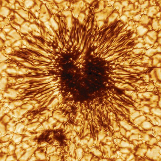 세계 최대 이노우에 태양 망원경이 포착한 첫 흑점 이미지. 연합뉴스