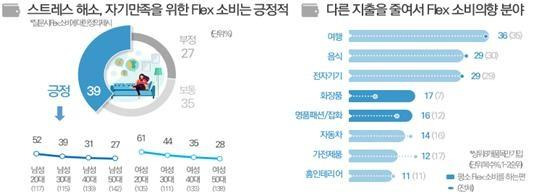 한국방송광고진흥공사가 조사한 2020년 소비자행태조사에서 '플렉스 소비' 경향. 한국방송광고진흥공사 제공